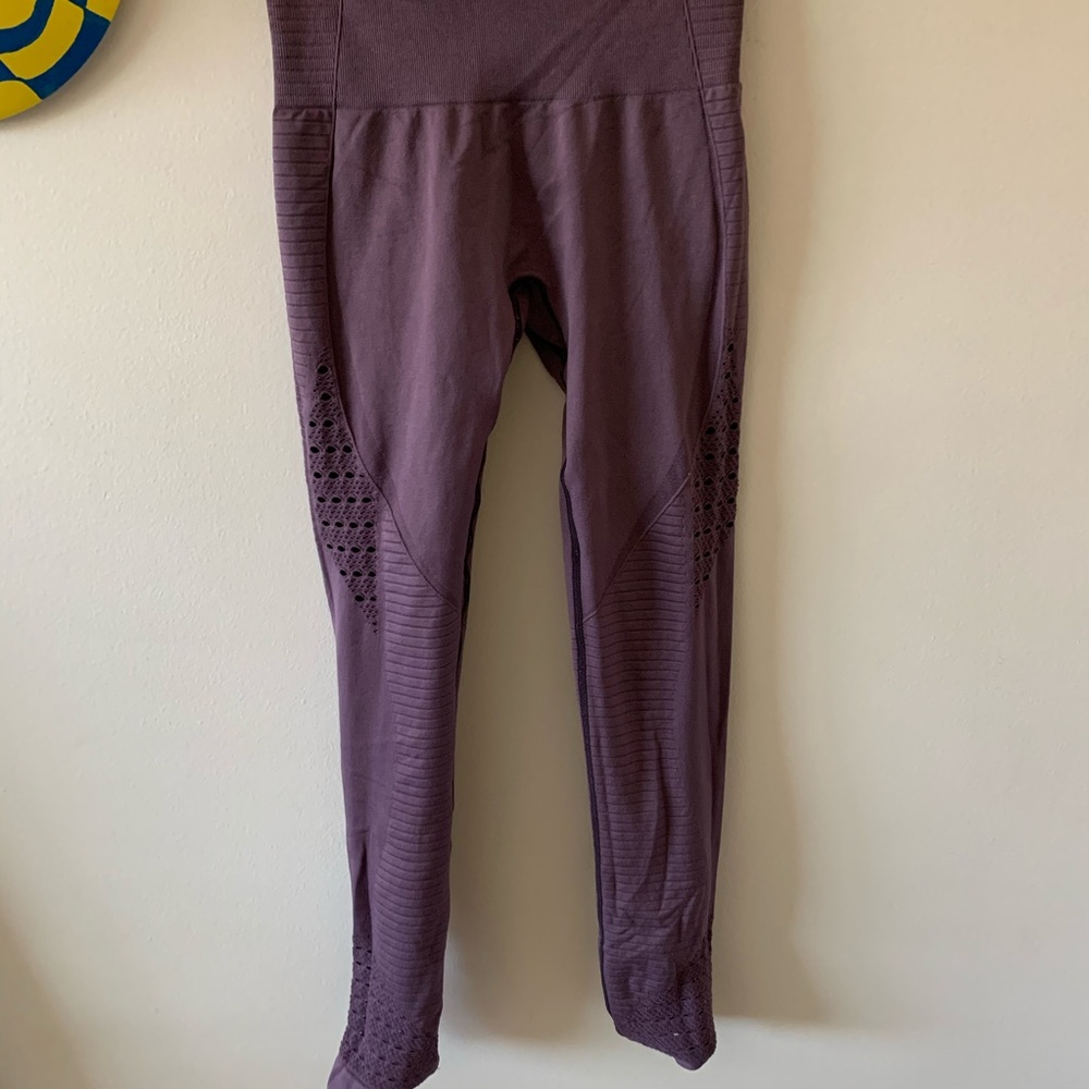 Gym shark leggings